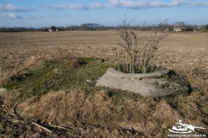 Read more about the article Schron Ringstand 58c – ZR 09 