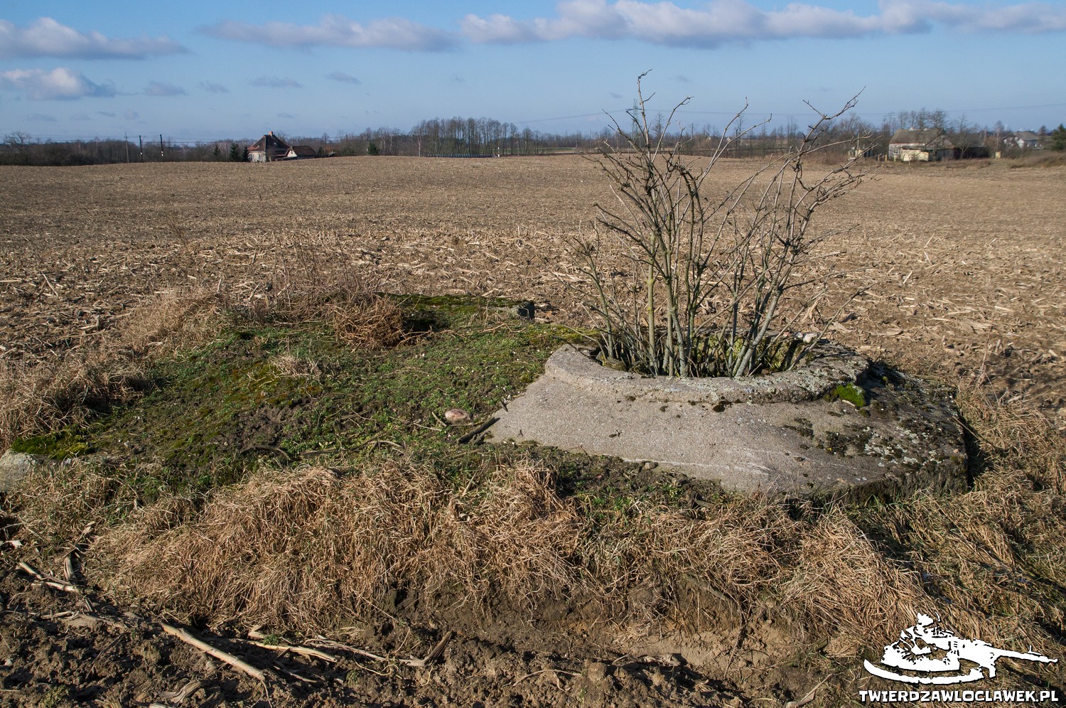 You are currently viewing Schron Ringstand 58c – ZR 09 