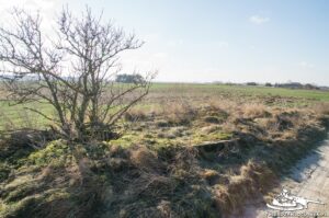 Read more about the article Schron Ringstand 58c – ZR 06