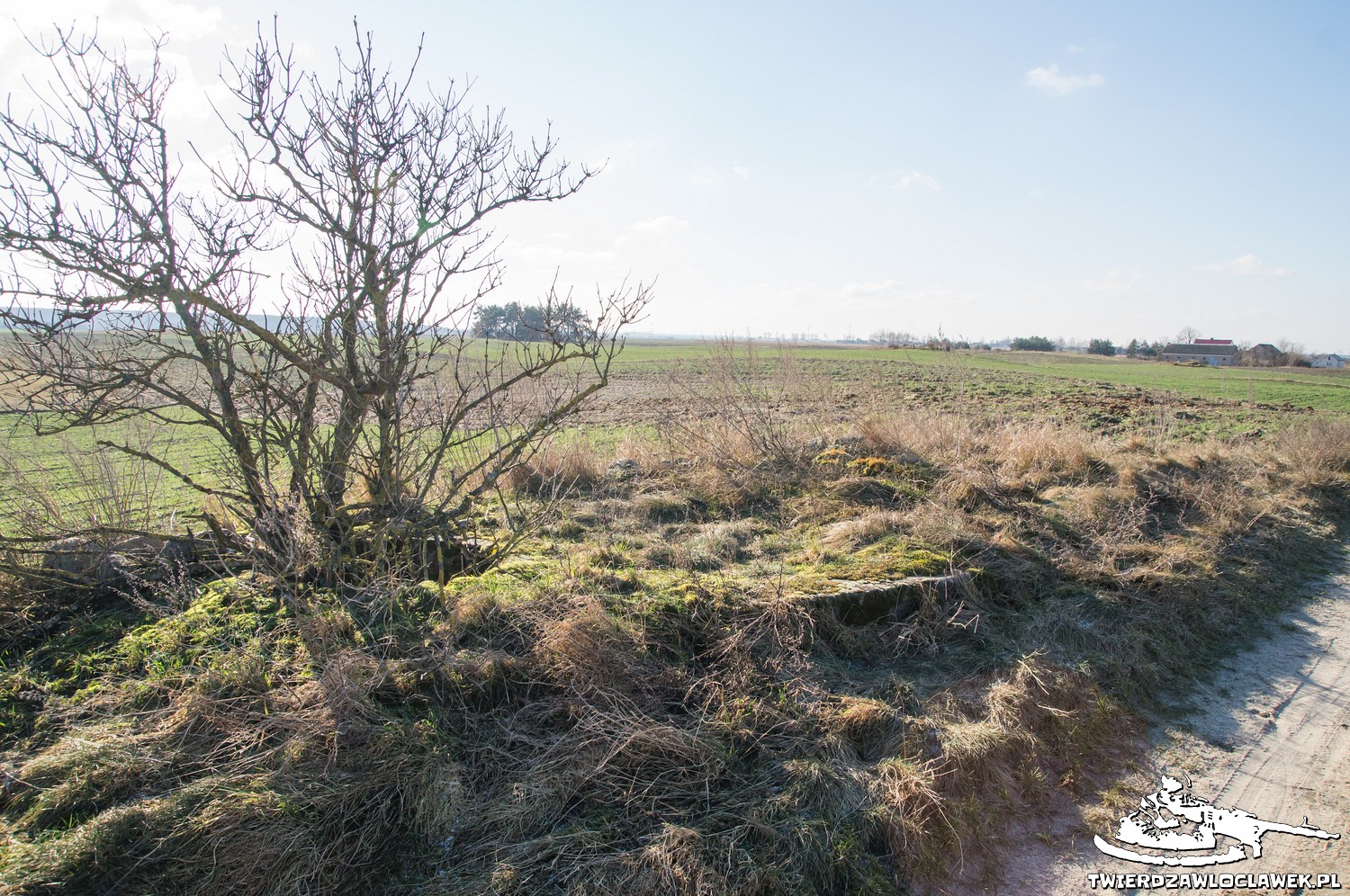 You are currently viewing Schron Ringstand 58c – ZR 06