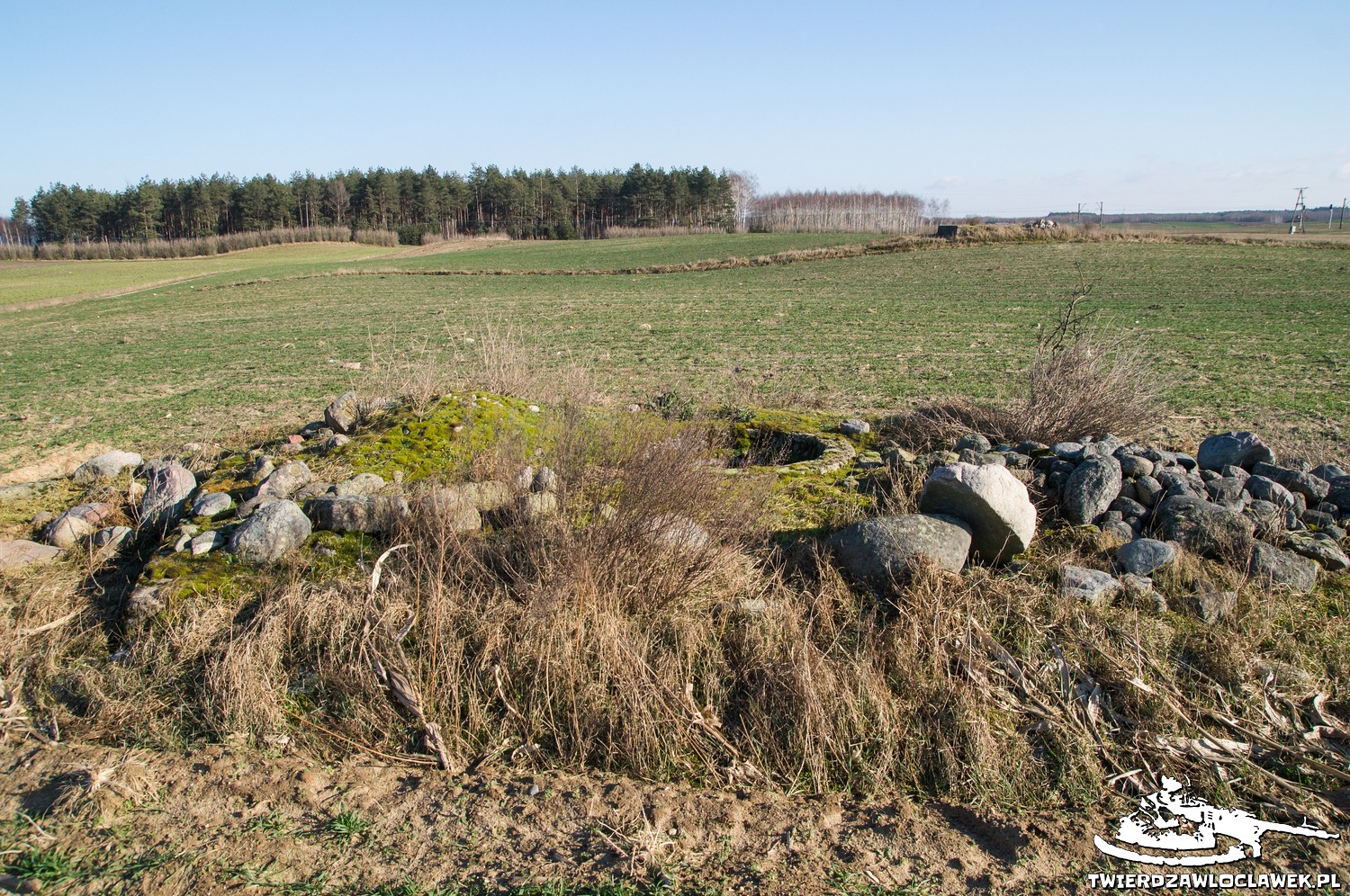 Read more about the article Schron Ringstand 58c – ZR 04