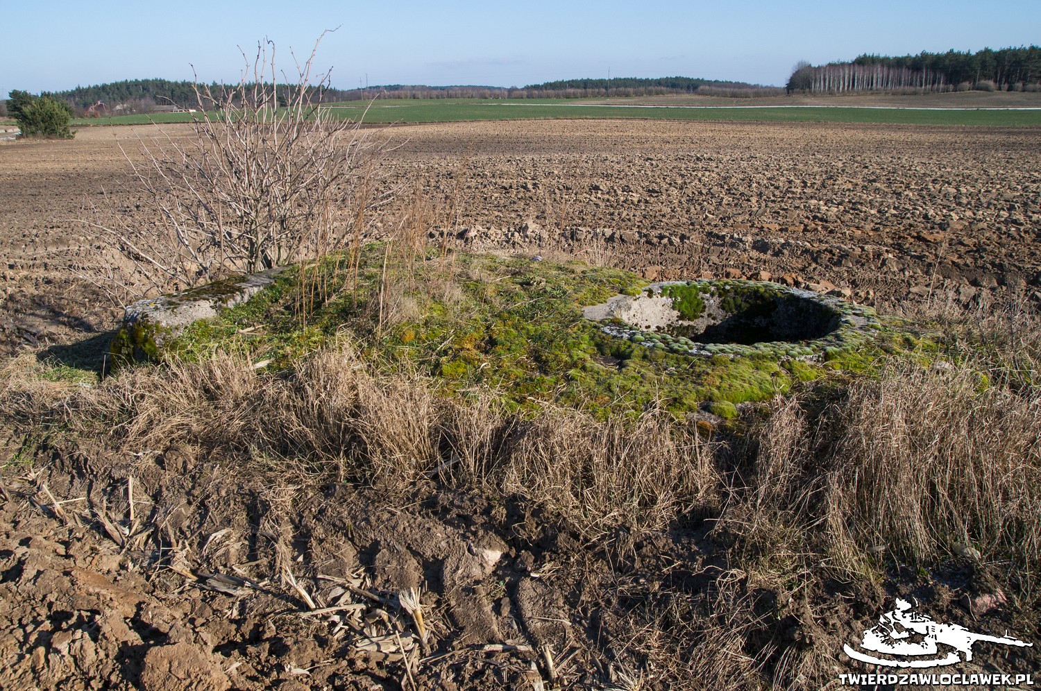 You are currently viewing Schron Ringstand 58c – ZR 01