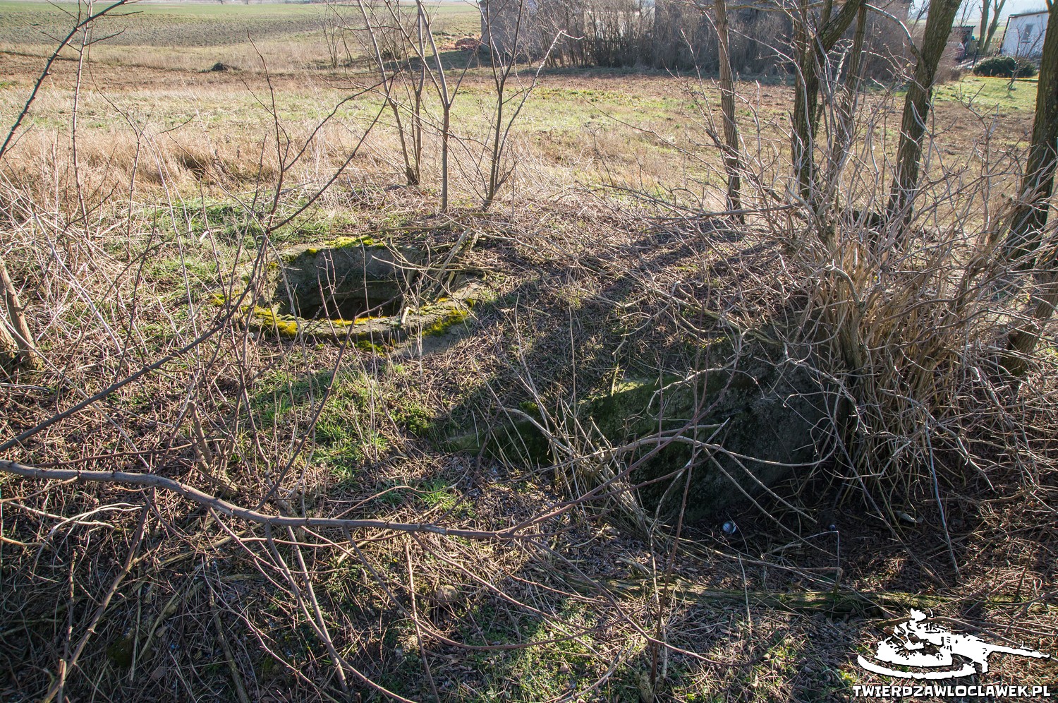 Read more about the article Schron Ringstand 58c – ZR 02