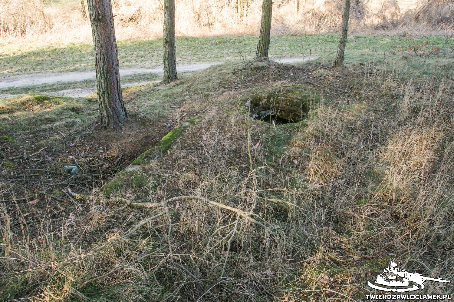 Read more about the article Schron Ringstand 58c – GJ 02