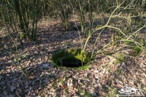 Read more about the article Schron Ringstand 58c – GJ 25