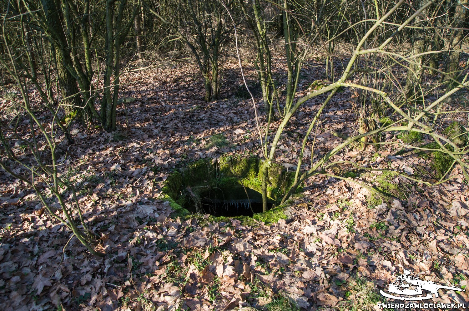 Read more about the article Schron Ringstand 58c – GJ 25