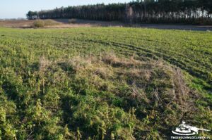 Read more about the article Schron Ringstand 58c – NI X1