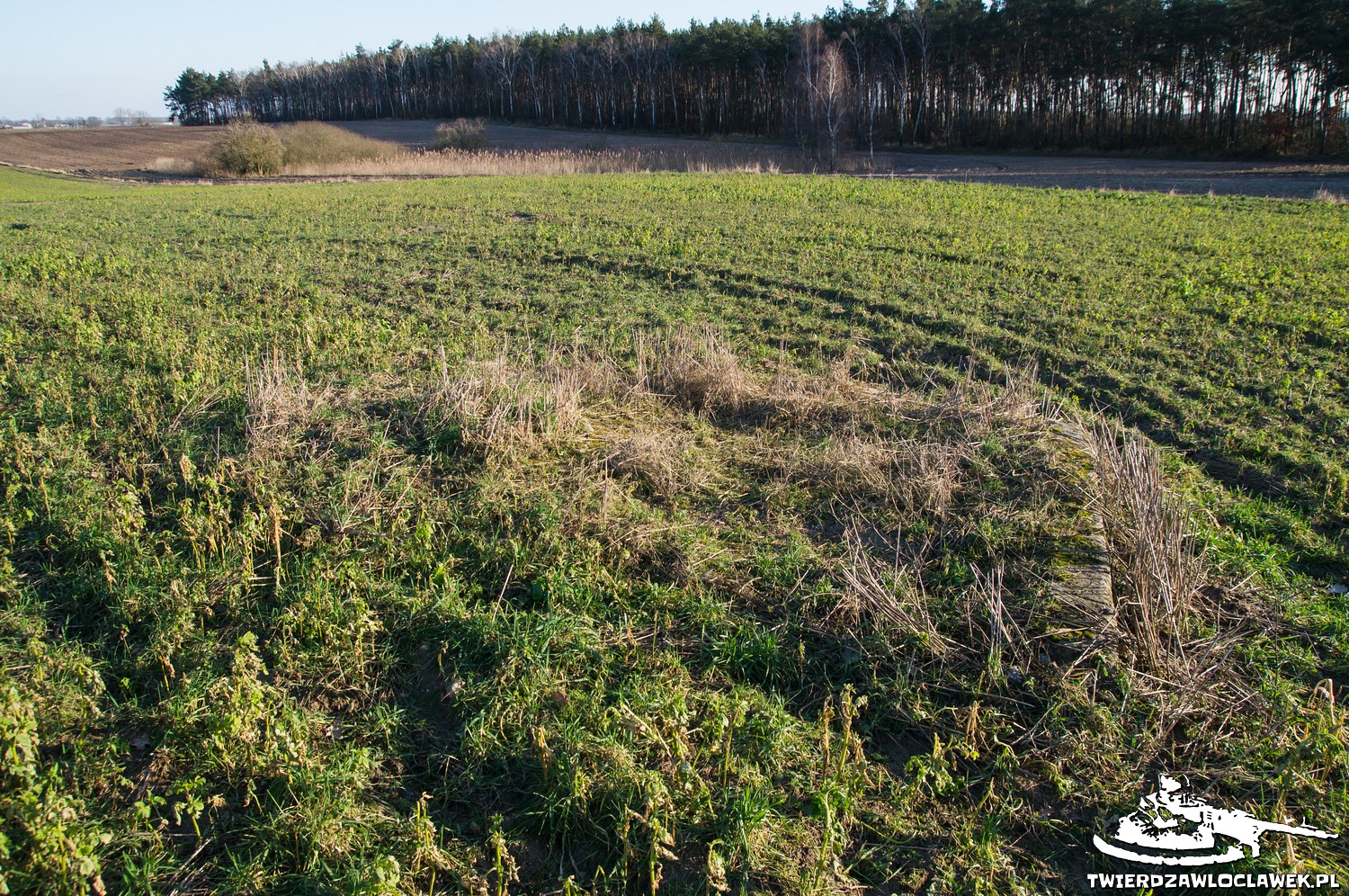 Read more about the article Schron Ringstand 58c – NI X1