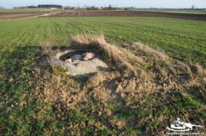 Read more about the article Schron Ringstand 58c – ZG 04 