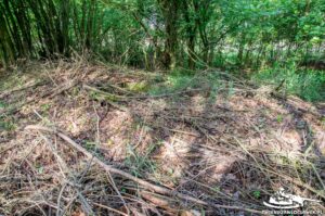 Read more about the article Schron Ringstand 58c – M 13