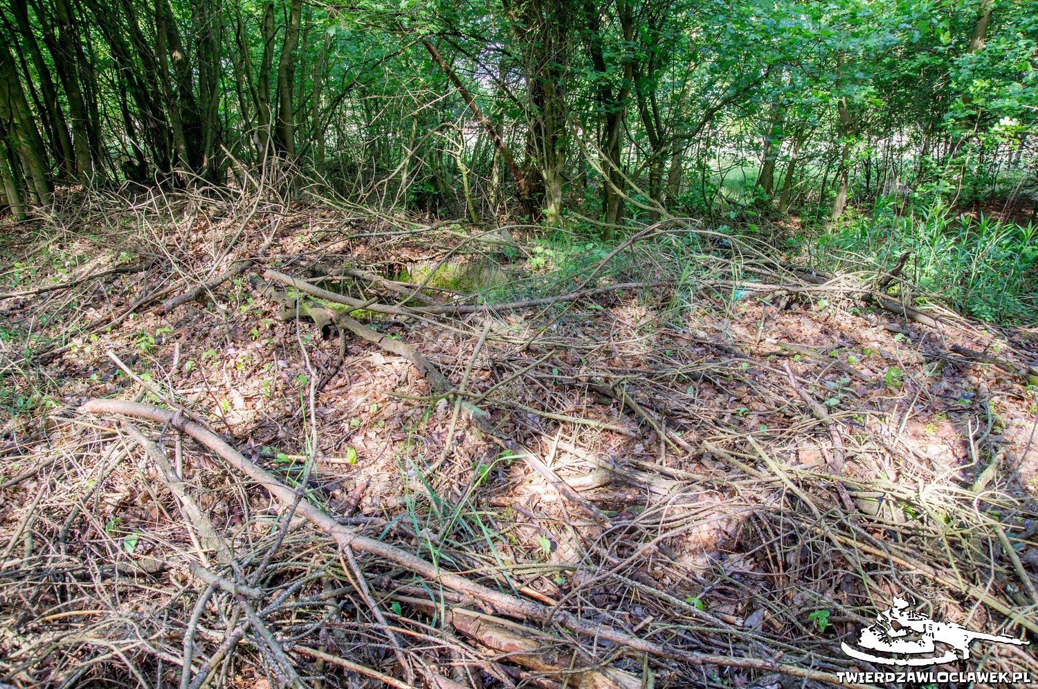 You are currently viewing Schron Ringstand 58c – M 13