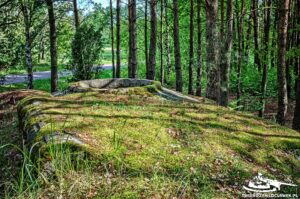 Read more about the article Schron Ringstand 58c – J 01