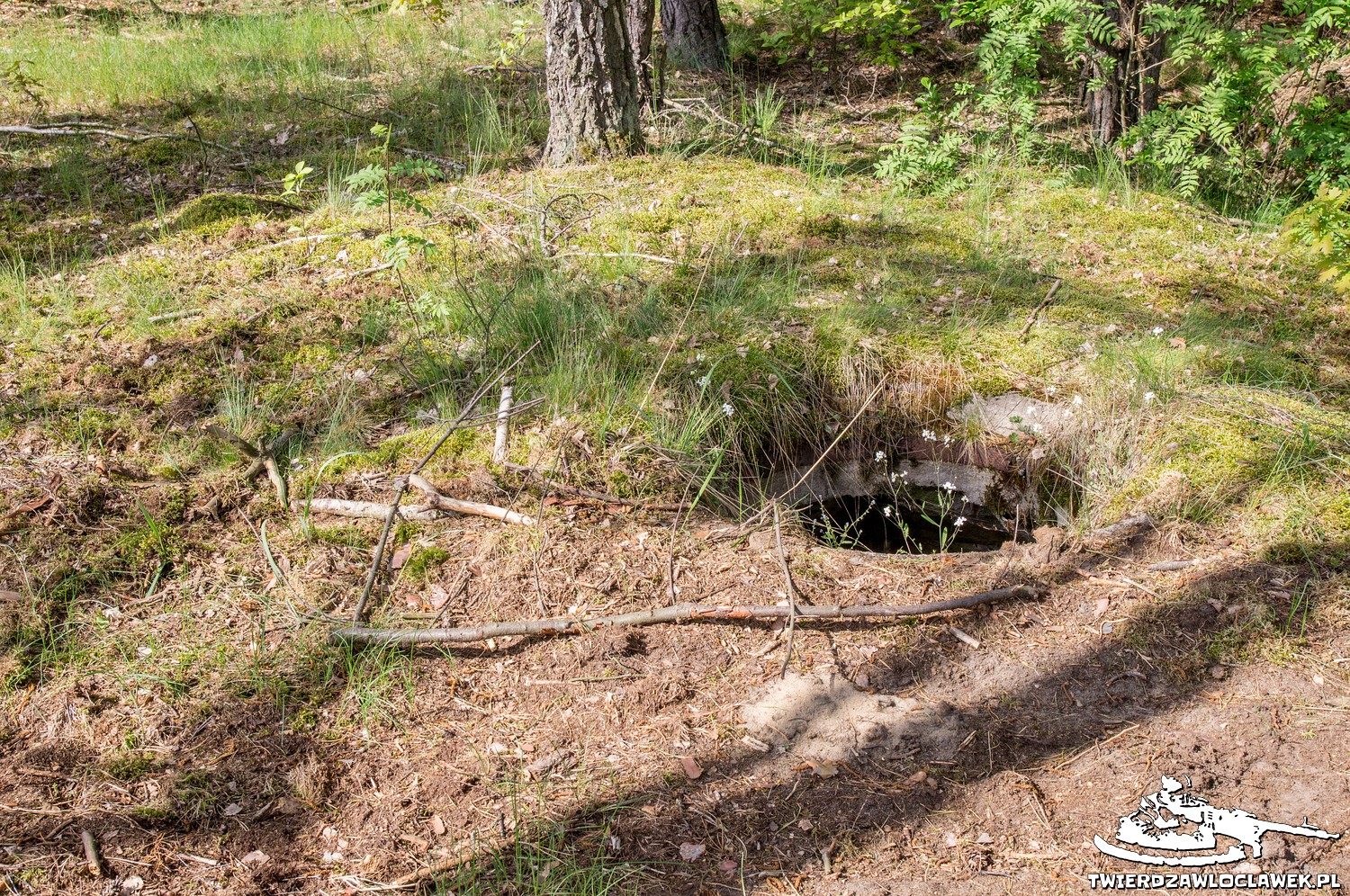 You are currently viewing Schron Ringstand 58c – J 02