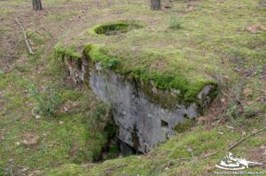 Read more about the article Schron Ringstand 58c – R 03