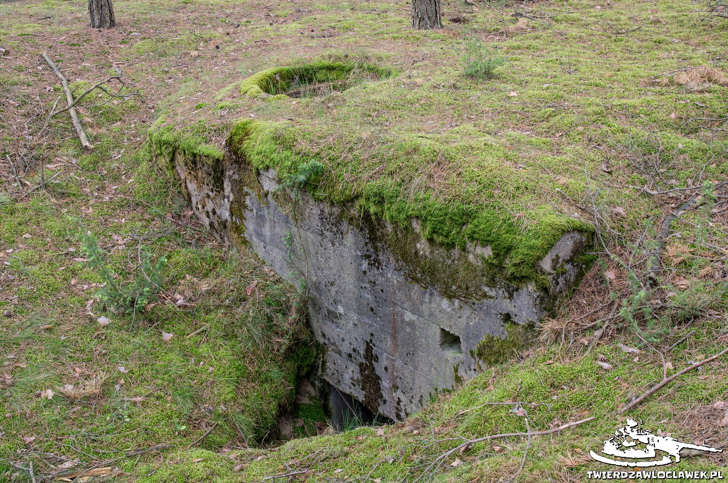 Read more about the article Schron Ringstand 58c – R 03