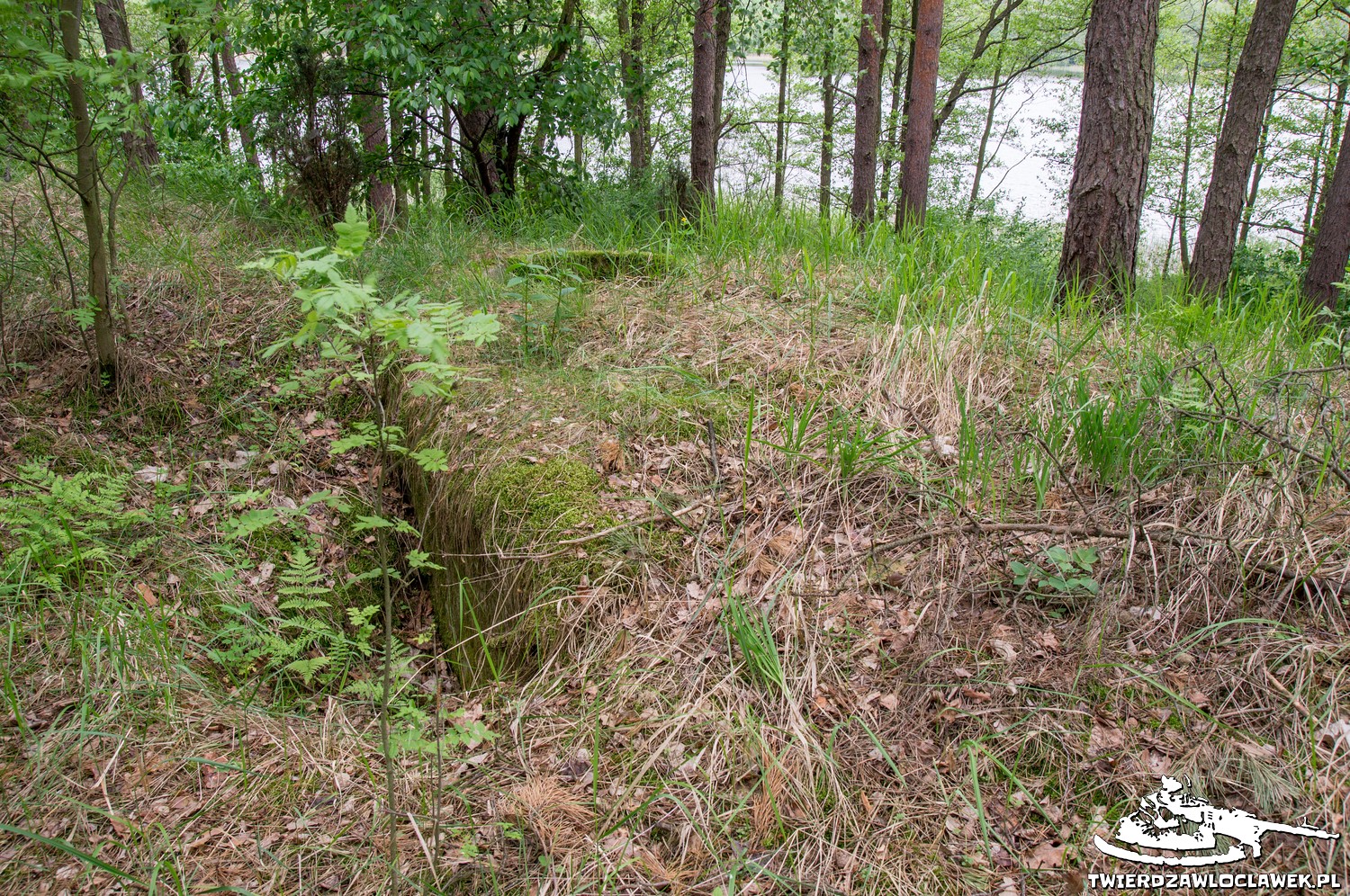 Read more about the article Schron Ringstand 58c – R 08