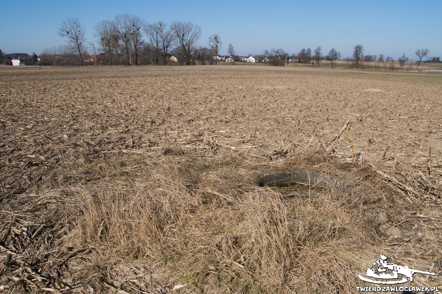 Read more about the article Schron Ringstand 58c – ST 03