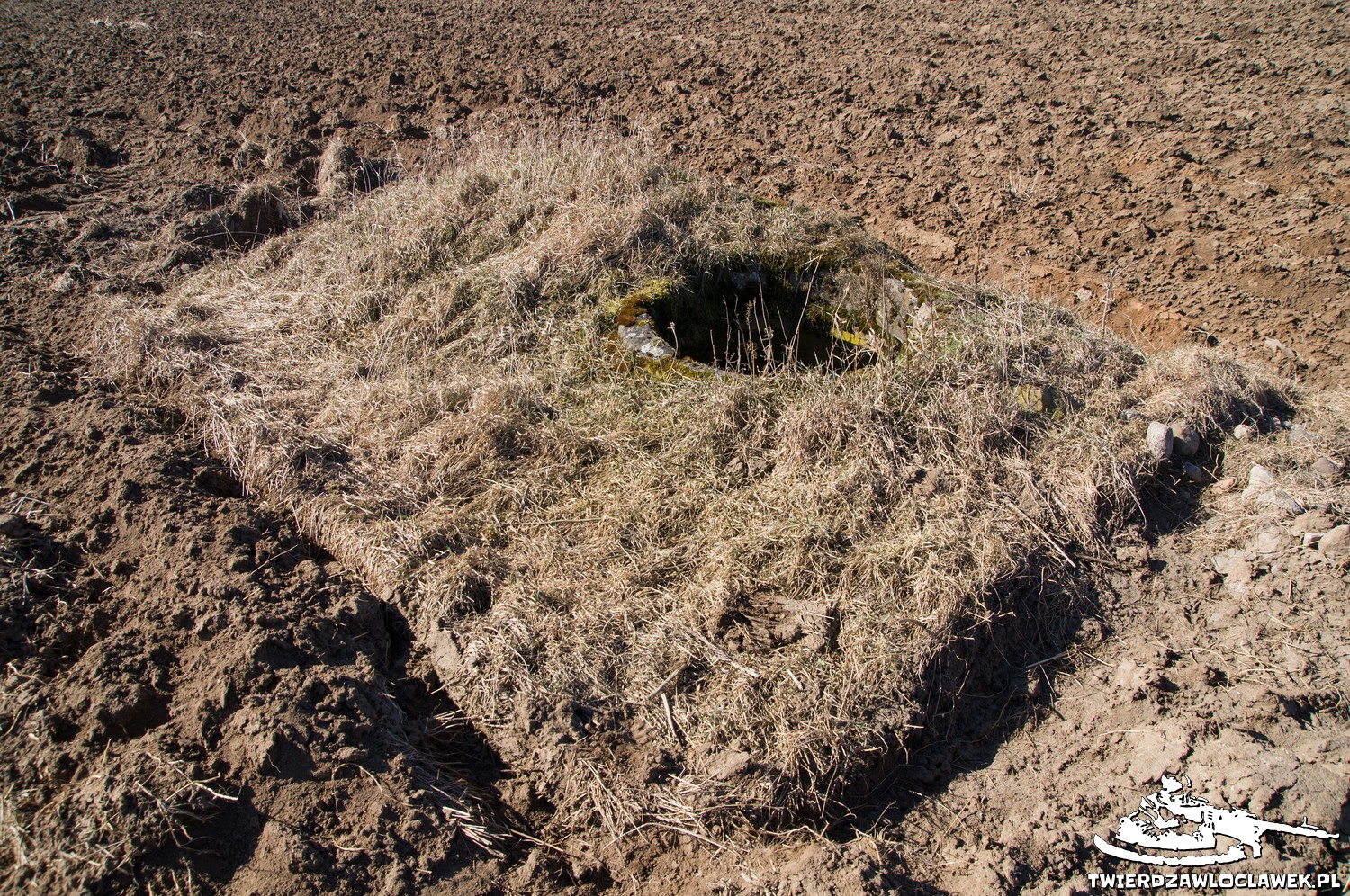 Read more about the article Schron Ringstand 58c – PR 06