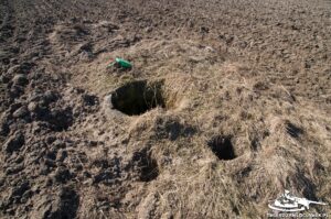 Read more about the article Schron Ringstand 58c – PR 07