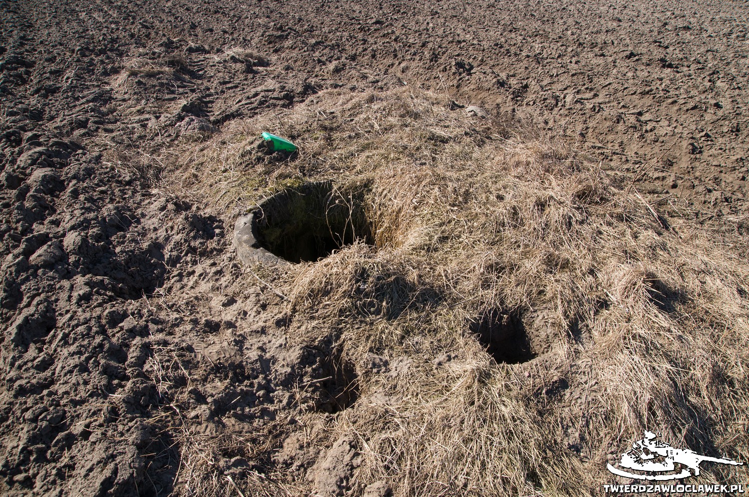 Read more about the article Schron Ringstand 58c – PR 07