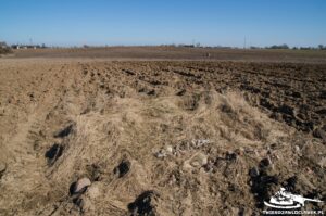 Read more about the article Schron Ringstand 58c – PR 08