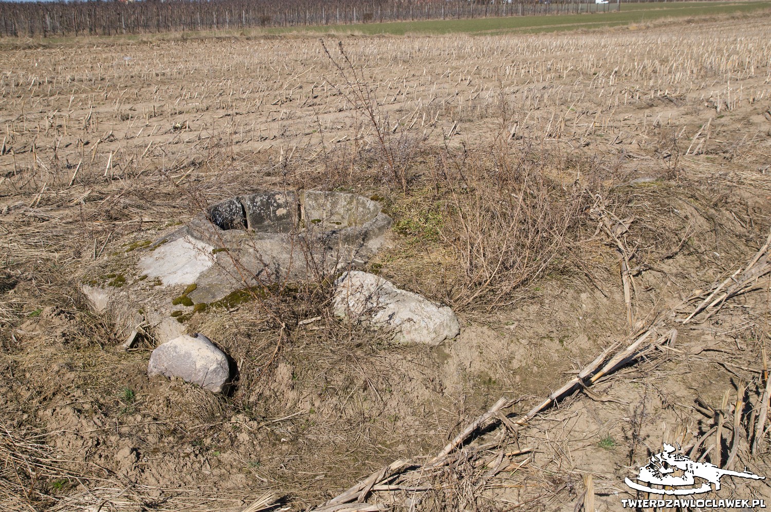 Read more about the article Schron Ringstand 58c – PR 02