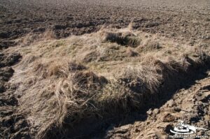 Read more about the article Schron Ringstand 58c – PR 04