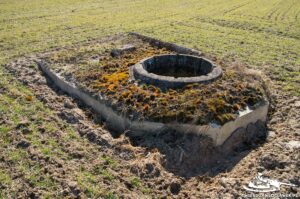 Read more about the article Schron Ringstand 58c – SL 07