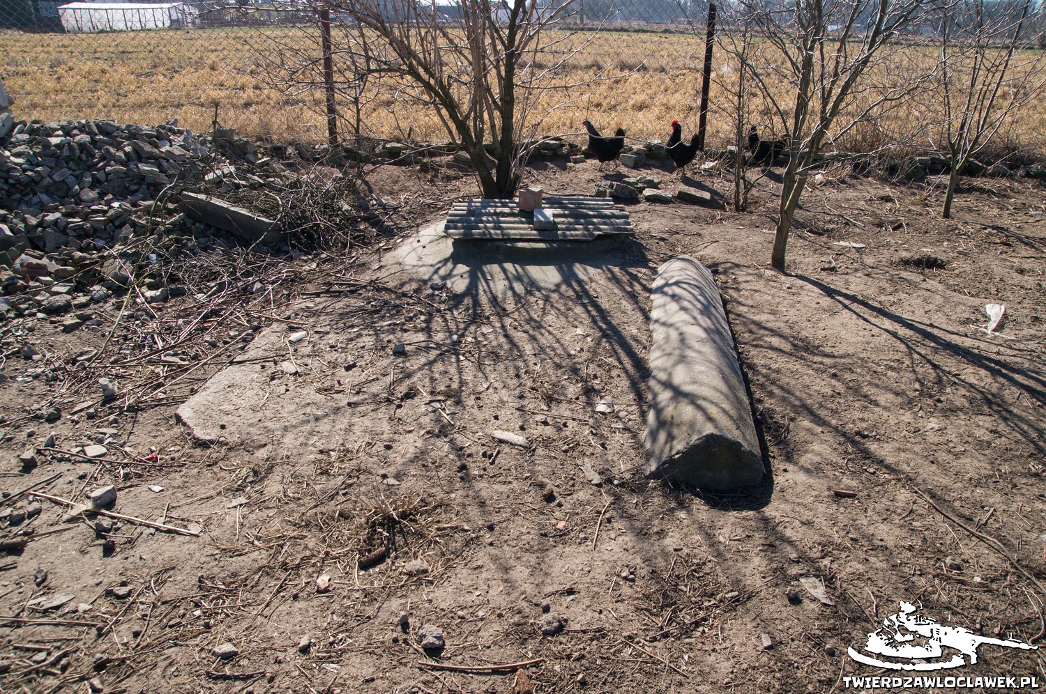 Read more about the article Schron Ringstand 58c – SL 04