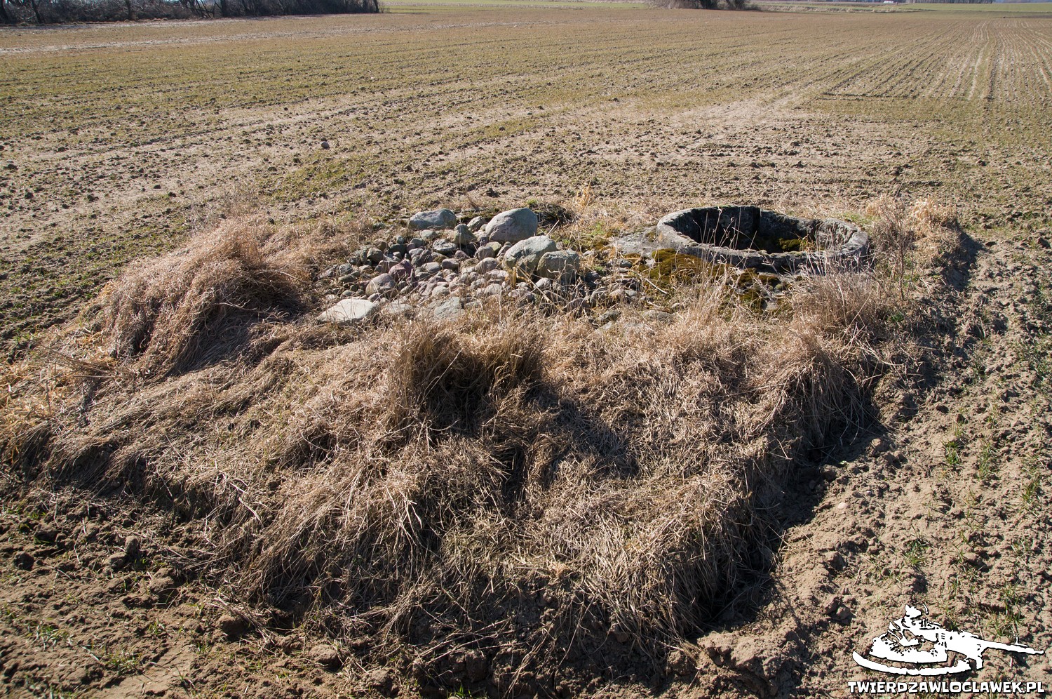 Read more about the article Schron Ringstand 58c – SL 02