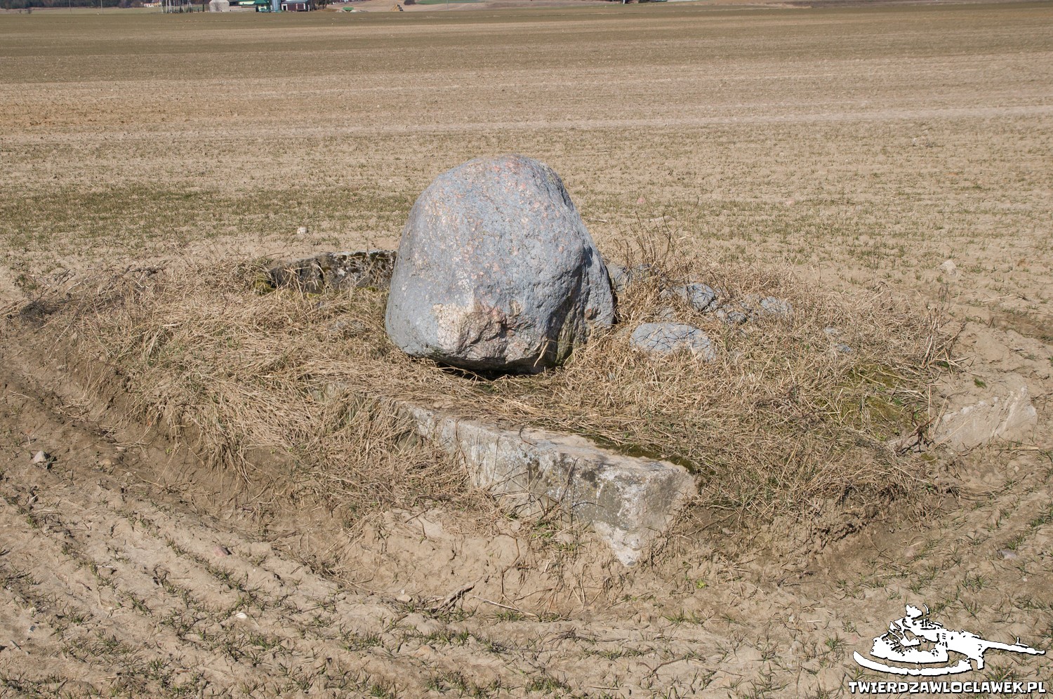 Read more about the article Schron Ringstand 58c – SL 01