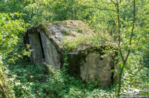 Read more about the article Schron Ringstand 58c – WI 01