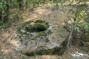 Read more about the article Schron Ringstand 58c – WI 02