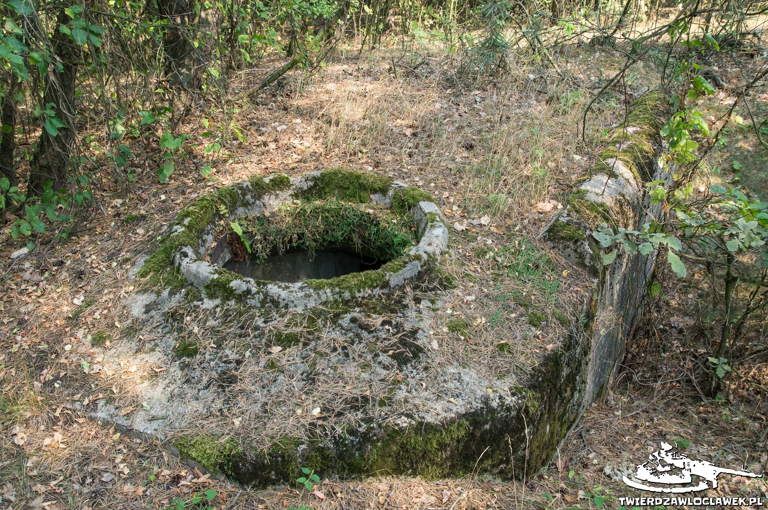 Read more about the article Schron Ringstand 58c – WI 02