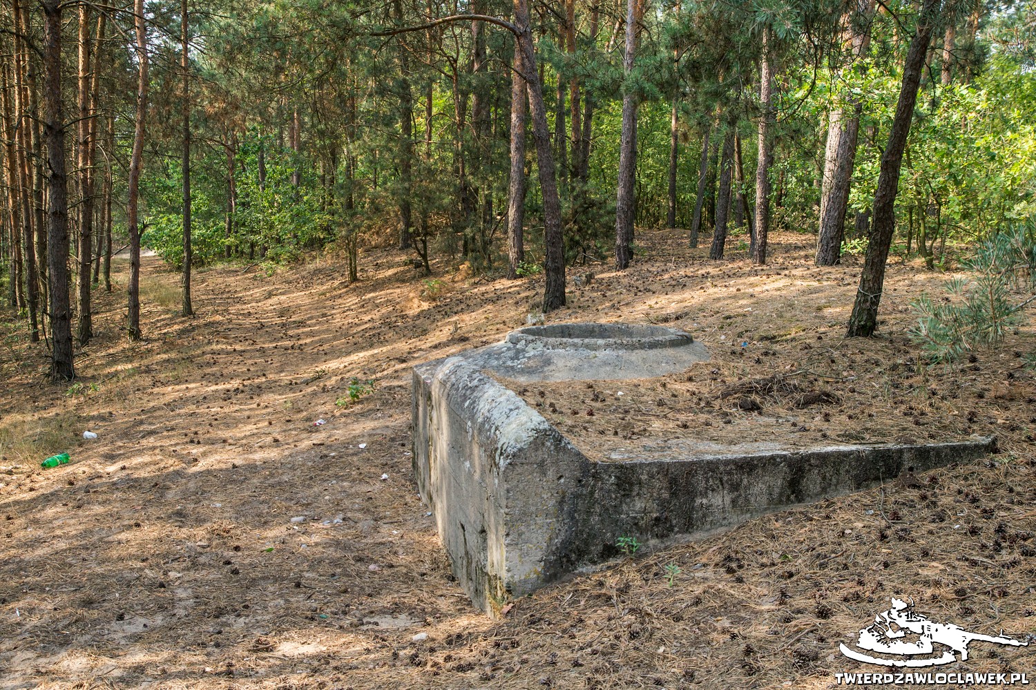 Read more about the article Schron Ringstand 58c – WI 03