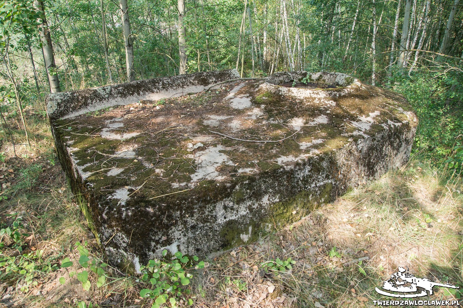 Read more about the article Schron Ringstand 58c – Z 07