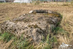 Read more about the article Schron Ringstand 58c – K 02