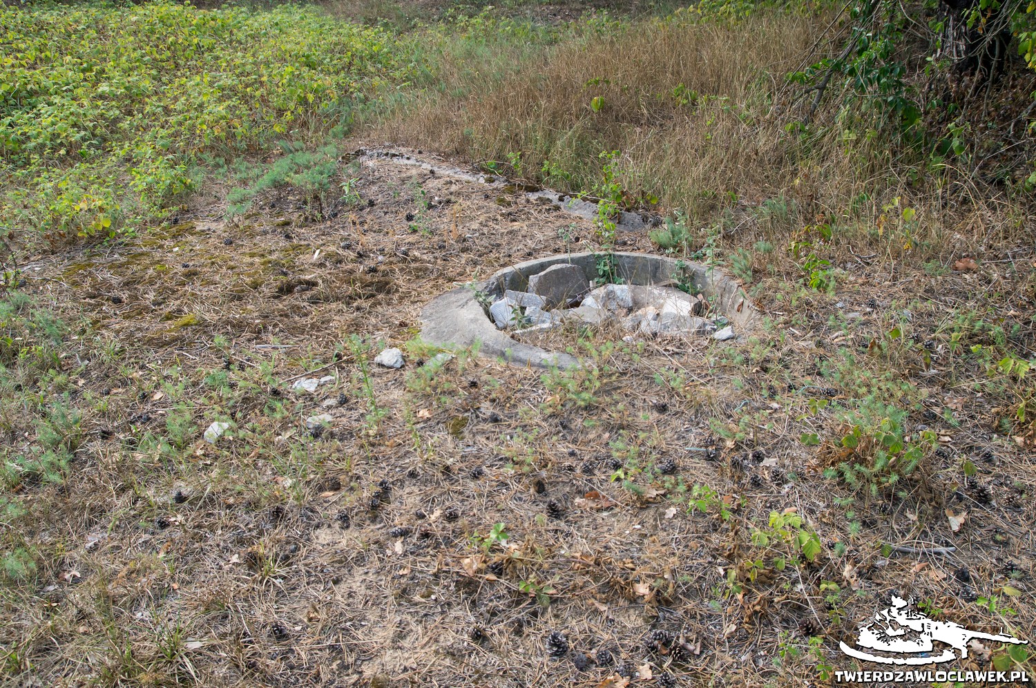 Read more about the article Schron Ringstand 58c – MI 01