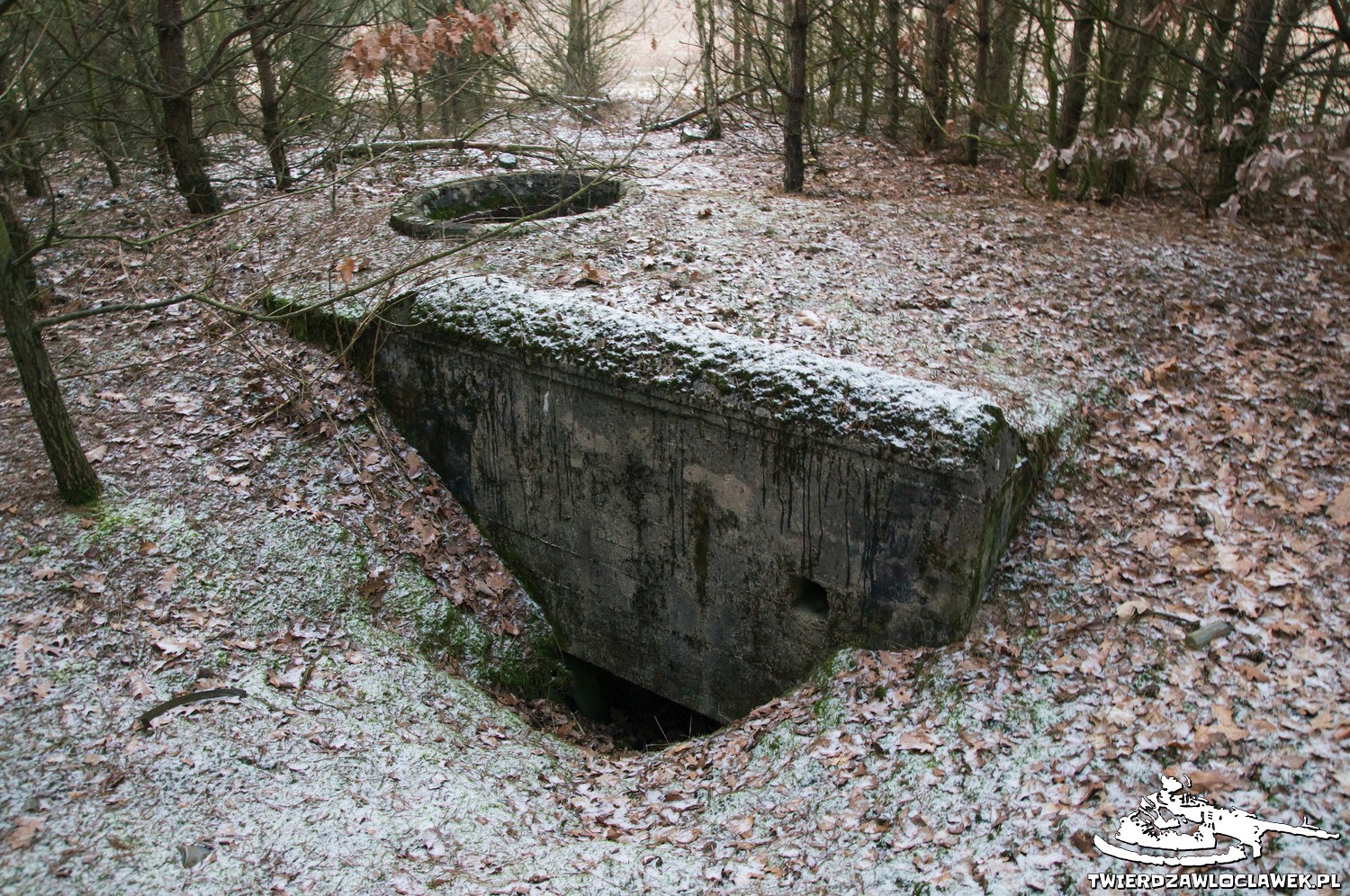 Read more about the article Schron Ringstand 58c – W 01