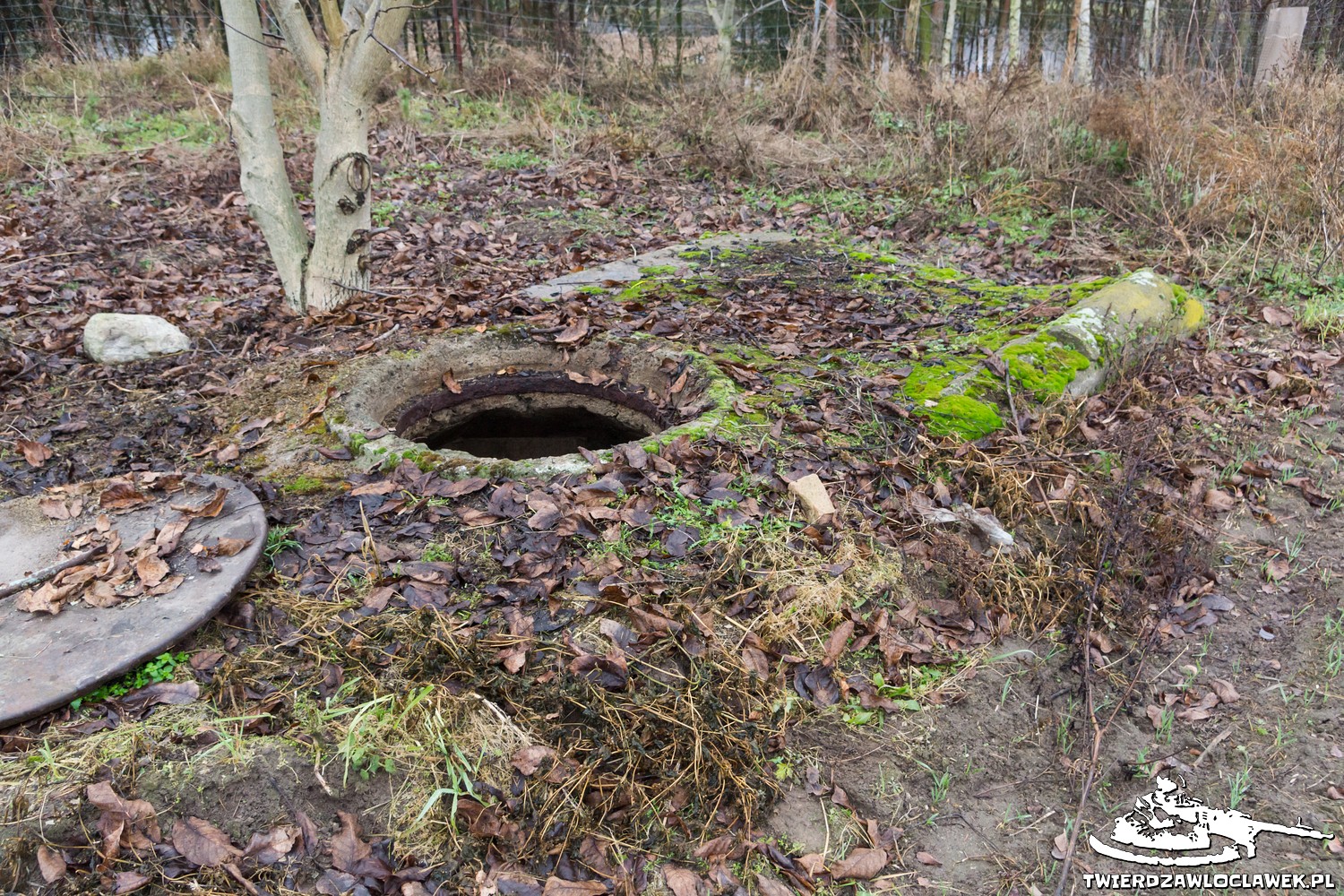 You are currently viewing Schron Ringstand 58c – RY 02