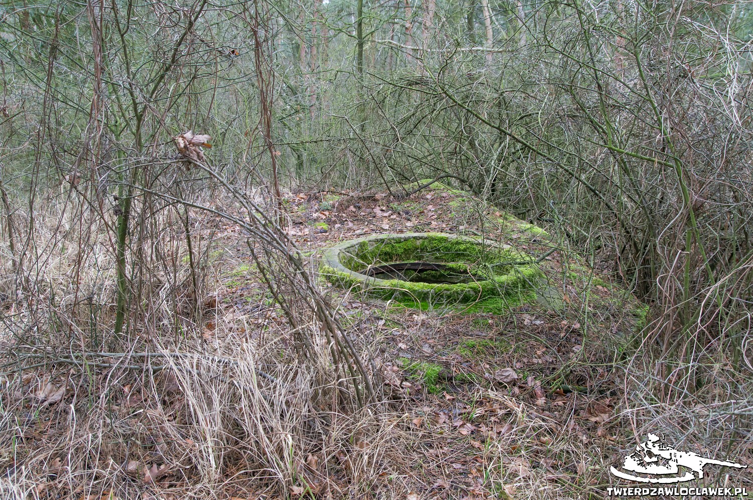 Read more about the article Schron Ringstand 58c – B 02