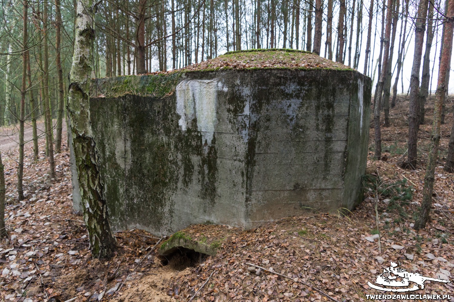 Read more about the article Schron Ringstand 58c – RY 03