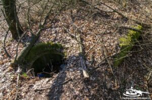 Read more about the article Schron Ringstand 58c – M 15