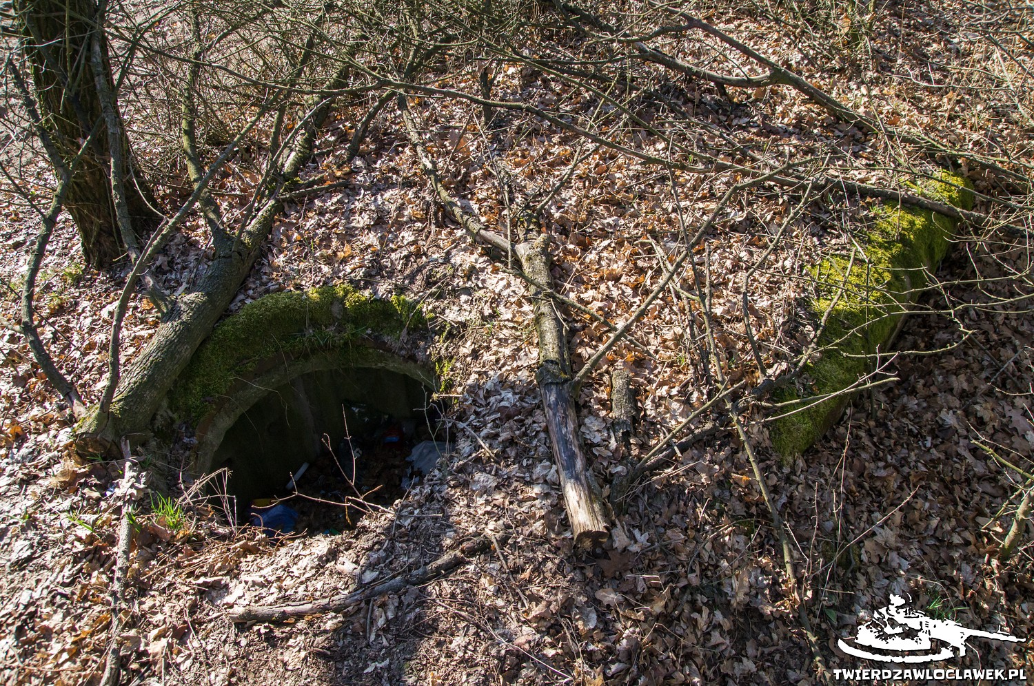 You are currently viewing Schron Ringstand 58c – M 15