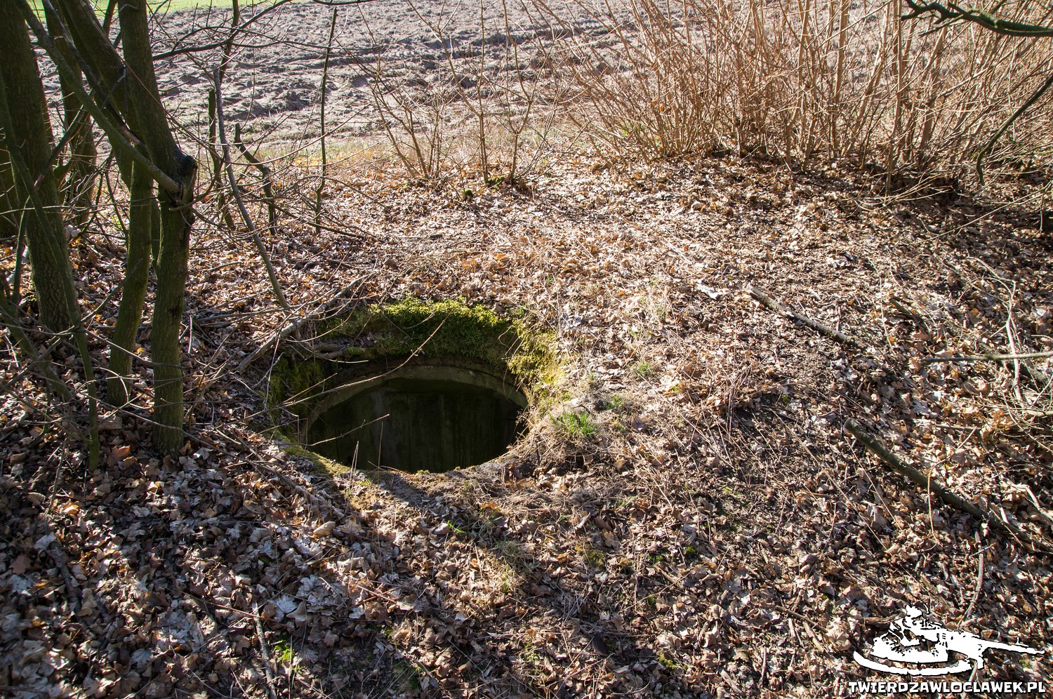 You are currently viewing Schron Ringstand 58c – M 14