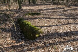 Read more about the article Schron Ringstand 58c – R 09