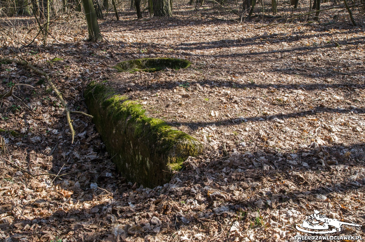 Read more about the article Schron Ringstand 58c – R 09