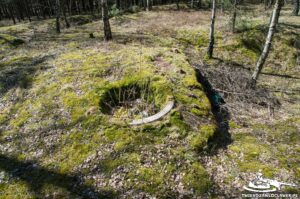 Read more about the article Schron Ringstand 58c – R 01