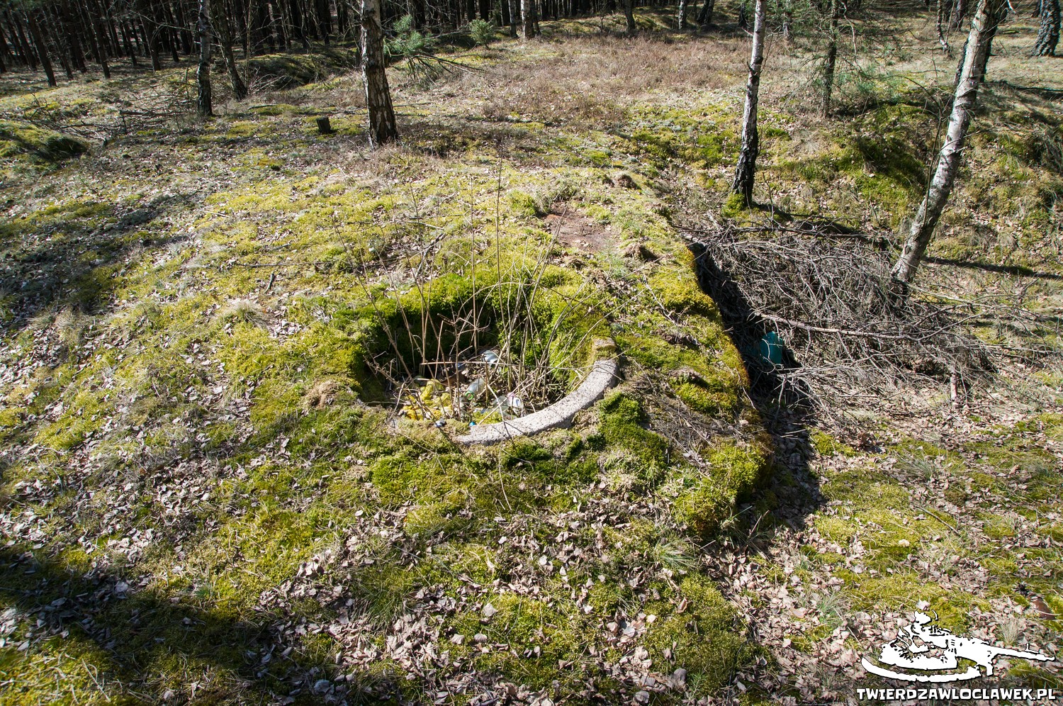 Read more about the article Schron Ringstand 58c – R 01