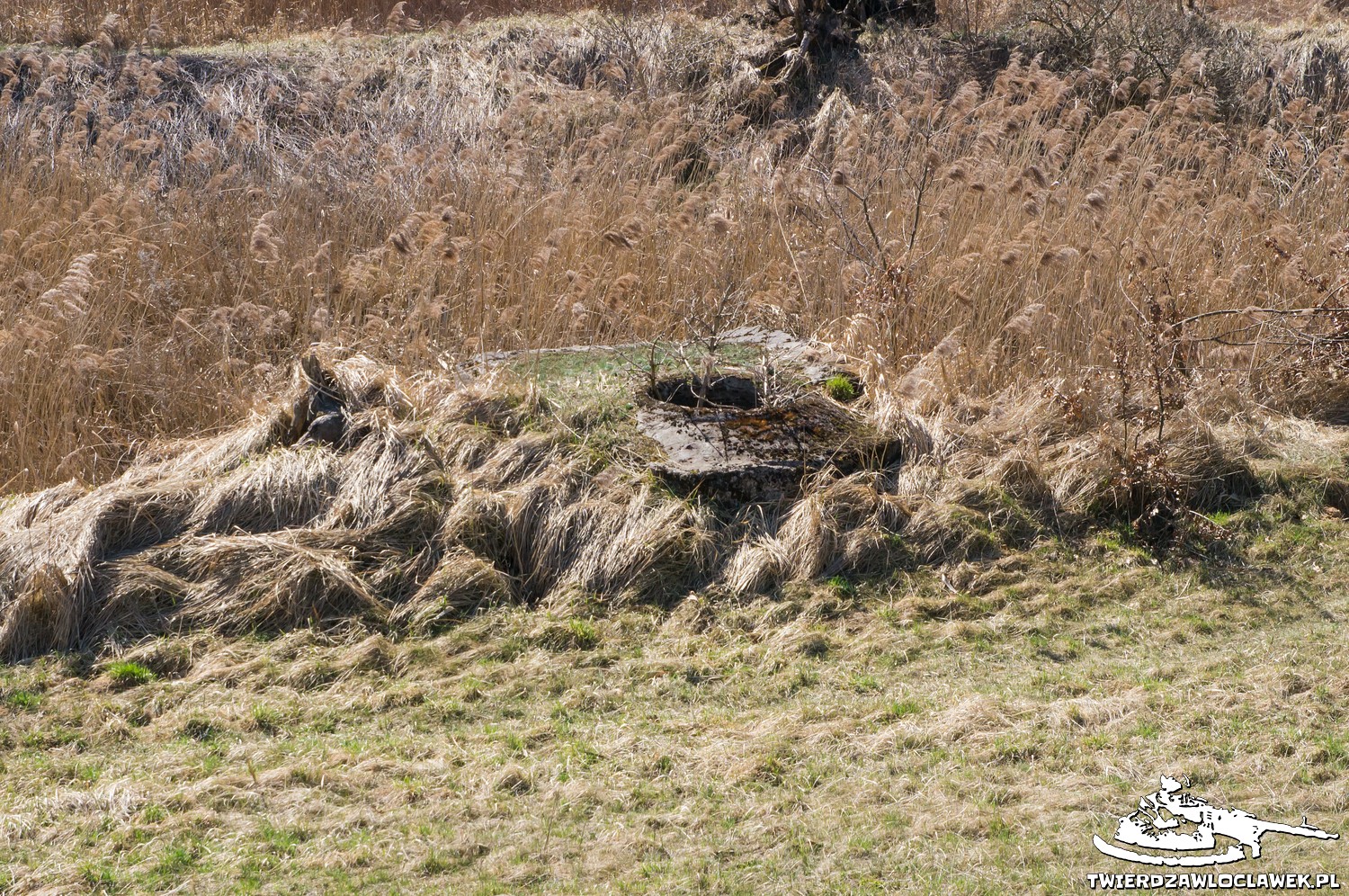 You are currently viewing Schron Ringstand 58c – M 02